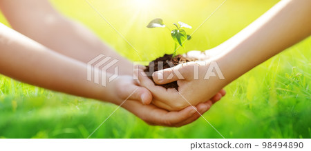 One child giving to another young sprout of a plant from hands to hands. 98494890