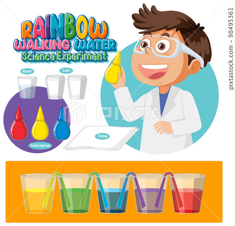Rainbow walking water science experiment Rainbow walking water science experiment 98495361