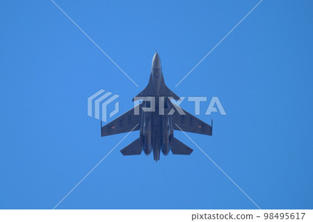 印度空軍蘇霍伊 Su-30MKI 98495617