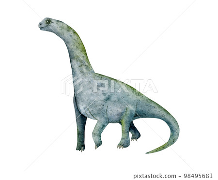 Camarasaurus sauropod dinosaur watercolor illustration. Brachiosaurus drawing, prehistoric herbivore animal Camarasaurus sauropod dinosaur watercolor illustration. Brachiosaurus drawing, prehistoric herbivore animal 98495681