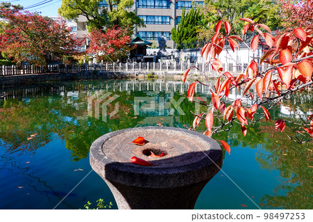 Maruike/Mirror Pond Shitennoji (Tennoji Ward, Osaka City) Maruike/Mirror Pond Shitennoji (Tennoji Ward, Osaka City) 98497253