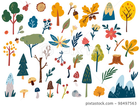 Forest plants clipart collection. Hand drawn woodland trees, herbs, mushrooms, flowers, branches, berries, leaves. Coniferous and deciduous.  Wild botanical set. Vector cartoon illustration. 98497563