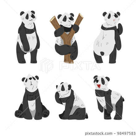 Cute Big Panda with Black and White Coat in Different Pose Vector Set 98497583