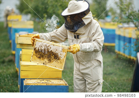 Beekeeper removing honeycomb from beehive. Farmer wearing bee suit working with honeycomb in apiary. Process of harvesting honey from wooden beehive outdoors. 98498103