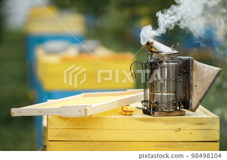 Apiarist in his apiary setting a fire in a bee smoker. Beekeeper harvesting honey. Bee smoker is used to calm bees before frame removal. 98498104