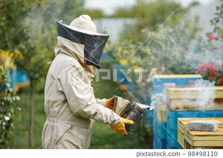Experienced senior apiarist in his apiary setting a fire in a bee smoker. Beekeeper harvesting honey. Bee smoker is used to calm bees before frame removal. 98498110