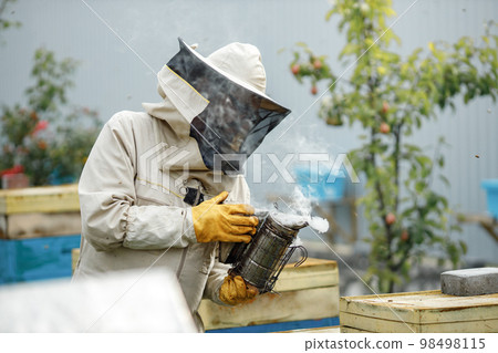 Experienced senior apiarist in his apiary setting a fire in a bee smoker. Beekeeper harvesting honey. Bee smoker is used to calm bees before frame removal. 98498115