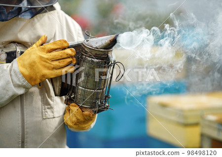 Apiarist in his apiary setting a fire in a bee smoker. Beekeeper harvesting honey. Bee smoker is used to calm bees before frame removal. 98498120