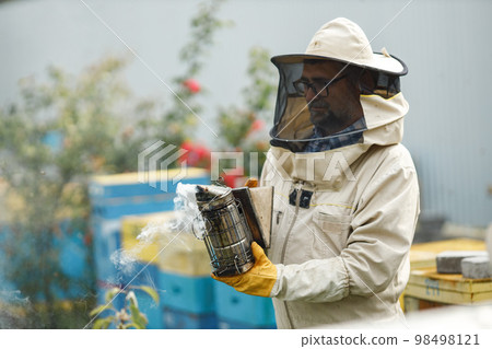 Experienced senior apiarist in his apiary setting a fire in a bee smoker. Beekeeper harvesting honey. Bee smoker is used to calm bees before frame removal. Experienced senior apiarist in his apiary setting a fire in a bee smoker. Beekeeper harvesting honey. Bee smoker is used to calm bees before frame removal. 98498121