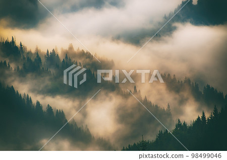 Misty mountain landscape Misty mountain landscape 98499046