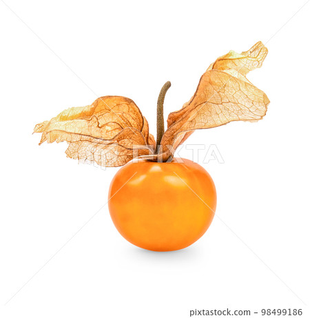 Cape gooseberry, physalis isolated on white background Cape gooseberry, physalis isolated on white background 98499186