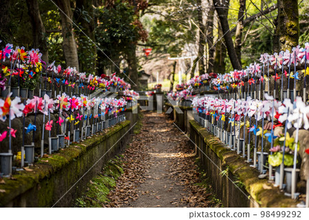 Zojoji Temple, Minato Ward, Tokyo 98499292