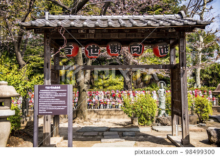 Zojoji Temple, Minato Ward, Tokyo 98499300