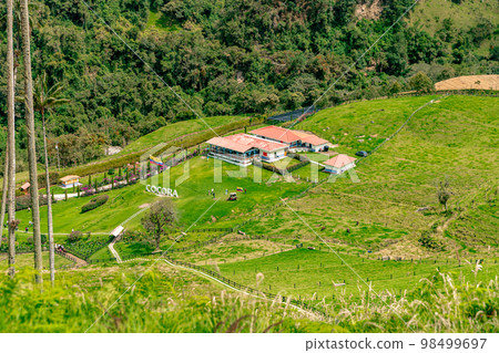 Cocora palm valley in Colombia in South America 98499697
