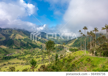 Cocora palm valley in Colombia in South America 98499736