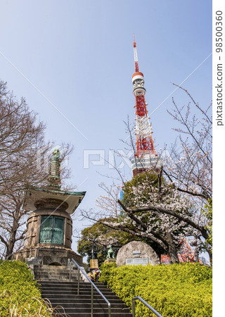 東京都港區增上寺、大研堂和東京鐵塔 98500360