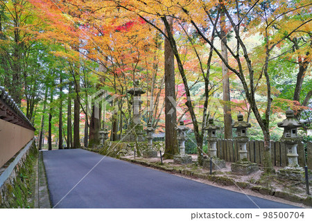 [Buttsuji Temple (autumn leaves)] Takasaka Town, Mihara City, Hiroshima Prefecture 98500704