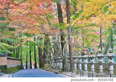 [Buttsuji Temple (autumn leaves)] Takasaka Town, Mihara City, Hiroshima Prefecture 98500708