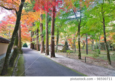 [Buttsuji Temple (autumn leaves)] Takasaka Town, Mihara City, Hiroshima Prefecture 98500711