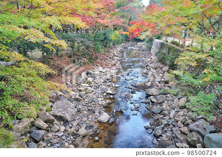 [Buttsuji Temple (autumn leaves)] Takasaka Town, Mihara City, Hiroshima Prefecture 98500724