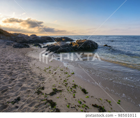 beach with sand and boulders. wave washing the coast. summer leisure background in morning light beach with sand and boulders. wave washing the coast. summer leisure background in morning light 98501011