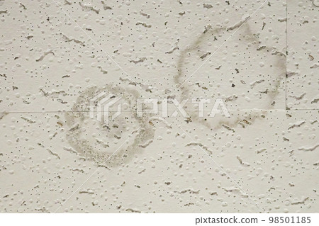 rain stains 98501185