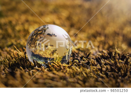 globe glass on grass with sunshine. environment concept 98501250