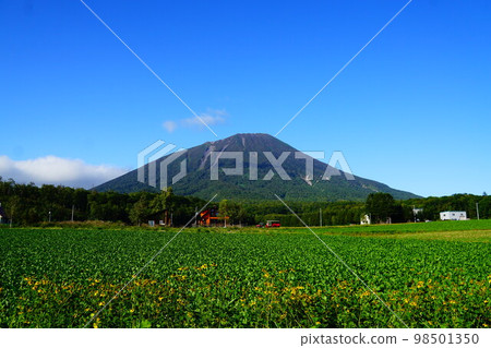 Mt. Yotei from the Makkari side of Hokkaido Mt. Yotei from the Makkari side of Hokkaido 98501350