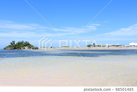 okinawa onna beach 98501485