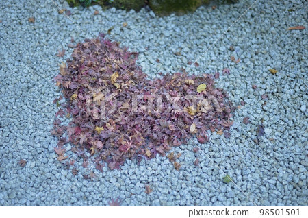 heart made of fallen leaves heart made of fallen leaves 98501501
