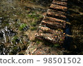 Genbe River in Mishima 98501502