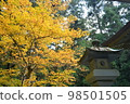 autumn leaves in temple 98501505