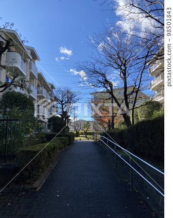 Tokyo suburbs promenade and housing complex in winter Tokyo suburbs promenade and housing complex in winter 98501843