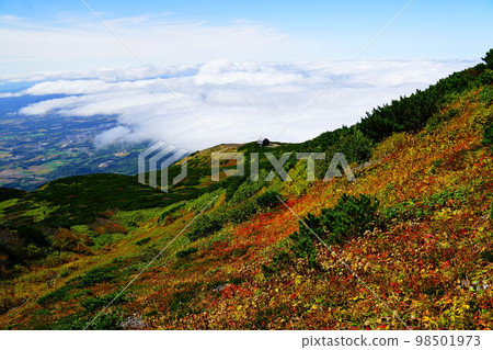Hokkaido Mt. Yotei Makkari Course Autumn leaves and Mt. Yotei evacuation hut seen from near Ohachi Hokkaido Mt. Yotei Makkari Course Autumn leaves and Mt. Yotei evacuation hut seen from near Ohachi 98501973