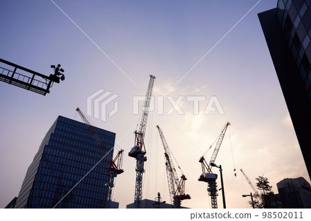 Crane at dawn Crane at dawn 98502011