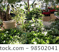 gardening shop in town 98502041