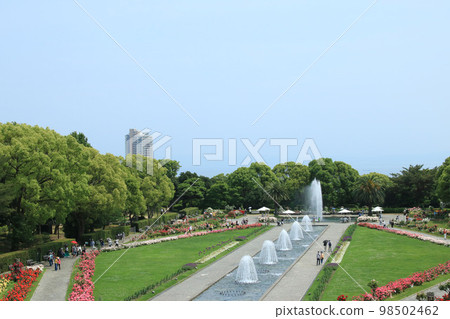 Kobe Suma Rikyu Park full of roses [May] 98502462