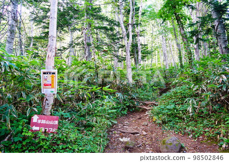 Hokkaido Mt. Yotei Makkari Course South Cobb Mt. Branch 98502846
