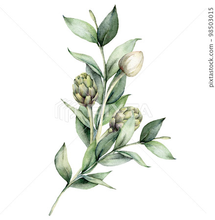 Watercolor floral bouquet with artichoke and white bud. Hand painted holiday composition with eucalyptus leaves isolated on white background. Spring illustration for design, print, fabric, background. Watercolor floral bouquet with artichoke and white bud. Hand painted holiday composition with eucalyptus leaves isolated on white background. Spring illustration for design, print, fabric, background. 98503015