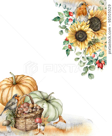 Watercolor autumn composition with robins, pumpkins, basket, sunflowers and berries. Hand painted rustic card isolated on white background. Floral illustration for design, print, fabric or background. Watercolor autumn composition with robins, pumpkins, basket, sunflowers and berries. Hand painted rustic card isolated on white background. Floral illustration for design, print, fabric or background. 98503029