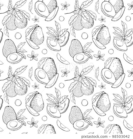 Watercolor tropical seamless pattern with avocado, leaves and flowers. Hand painted line art fruits and seeds isolated on white background. Floral illustration for design, print, fabric or background. 98503042