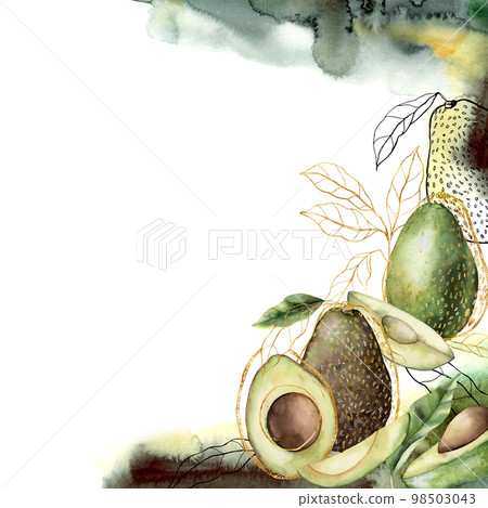 Watercolor floral card with linear leaves and avocado. Hand painted tropical frame with fruits isolated on white background. Elegant illustration for design, print, fabric or background. 98503043