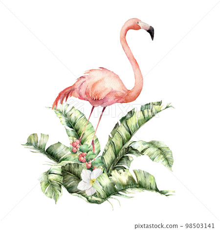 Watercolor tropical card with pink flamingo, white plumeria and berries bouquet. Hand painted bird, leaves and flowers isolated on white background. Floral illustration for design, print or fabric. 98503141