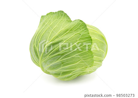 在白色後面的圓白菜 在白色後面的圓白菜 98503273