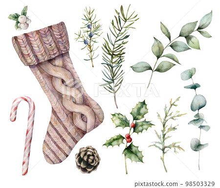 Watercolor Christmas set with sock. Hand painted holiday eucalyptus and pine branch, mistletoe and holly isolated on white background. Winter illustration for design, print, fabric or background. Watercolor Christmas set with sock. Hand painted holiday eucalyptus and pine branch, mistletoe and holly isolated on white background. Winter illustration for design, print, fabric or background. 98503329