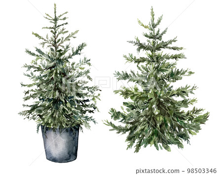 Watercolor Christmas tree set. Hand painted New Year trees isolated on white background. Holiday illustration for design, print, fabric or background. 98503346