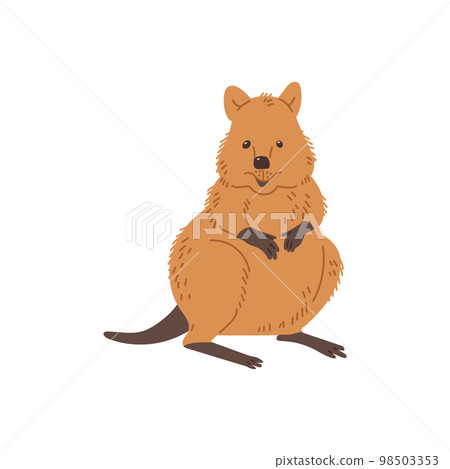 Funny quokka animal, cartoon flat vector illustration isolated on white background. 98503353