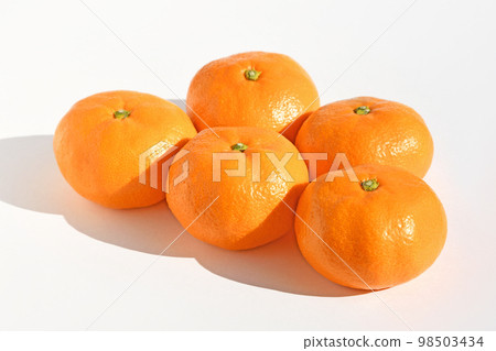 Mandarin oranges (Nishiura mandarin oranges, Aoshima) Mandarin oranges (Nishiura mandarin oranges, Aoshima) 98503434