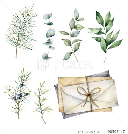 Watercolor eucalyptus branches and envelopes set. Hand painted branches, leaves and berries isolated on white background. Floral illustration for design, print, fabric or background. Botanical set. 98503447