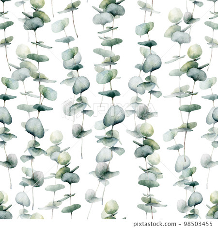 Watercolor seamless pattern with large baby blue eucalyptus. Hand painted eucalyptus round leaves and branch isolated on white background. Floral illustration for design, print, fabric or background. Watercolor seamless pattern with large baby blue eucalyptus. Hand painted eucalyptus round leaves and branch isolated on white background. Floral illustration for design, print, fabric or background. 98503455